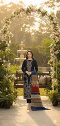 Stellar black, dhanak embroidered vol.42